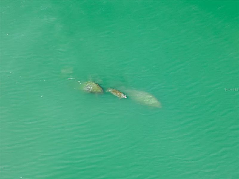 Image 84 of a home in .