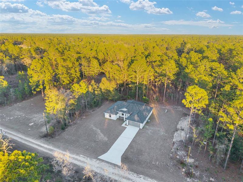 Site preparation for new homesites in , Dunnellon (Image 65).