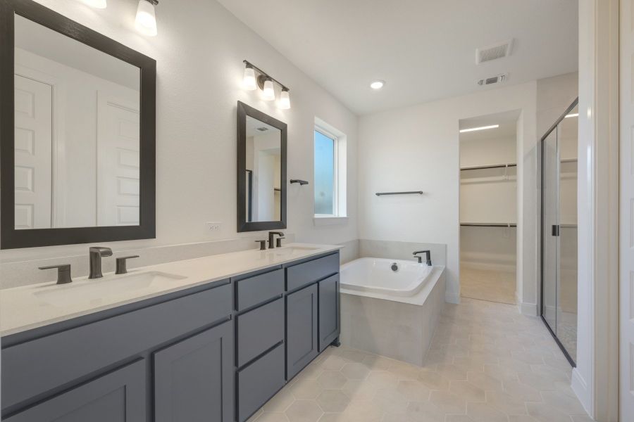 Owner's Bath