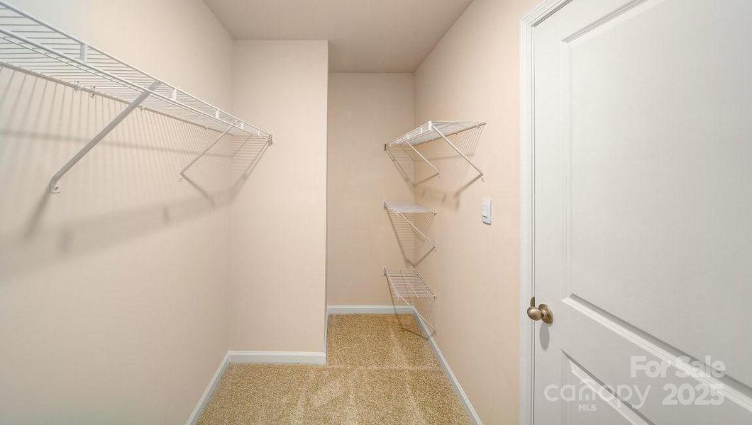 Photos are representative