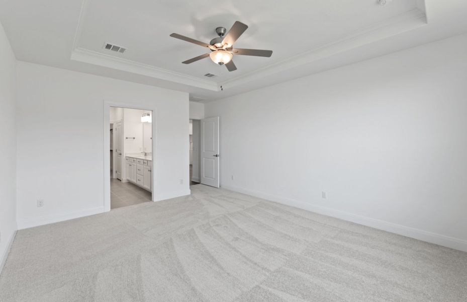 Owner's Bedroom with Tray Ceilings