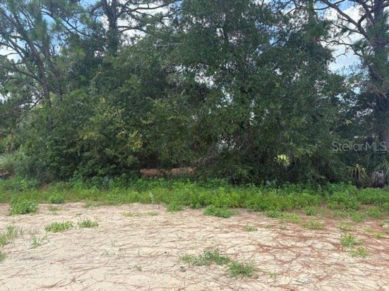 Natural landscape and outdoor views near in Dunnellon (Image 13). Natural landscape and outdoor views near in Dunnellon (Image 13).