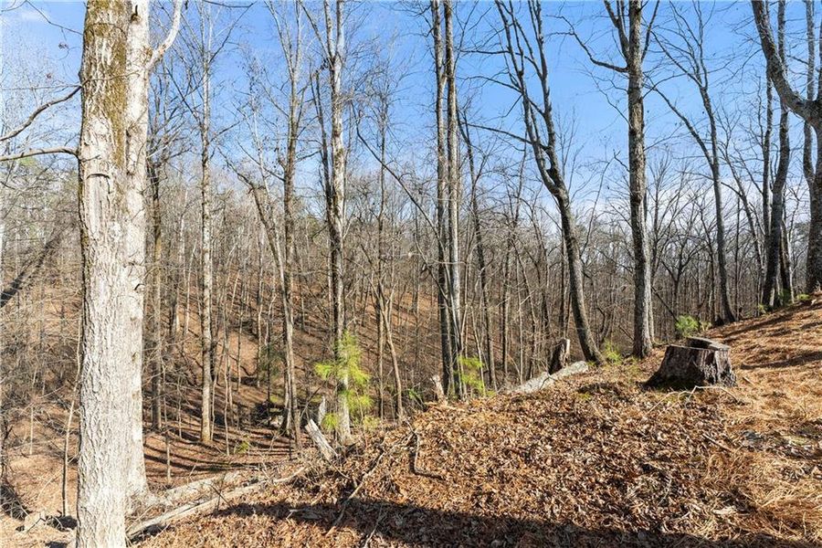 Natural landscape and outdoor views near  in Gainesville (Image 61).