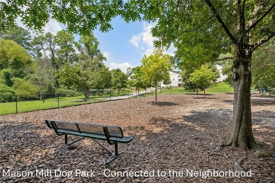 Natural landscape and outdoor views near Parkside at Mason Mill in Decatur (Image 50).