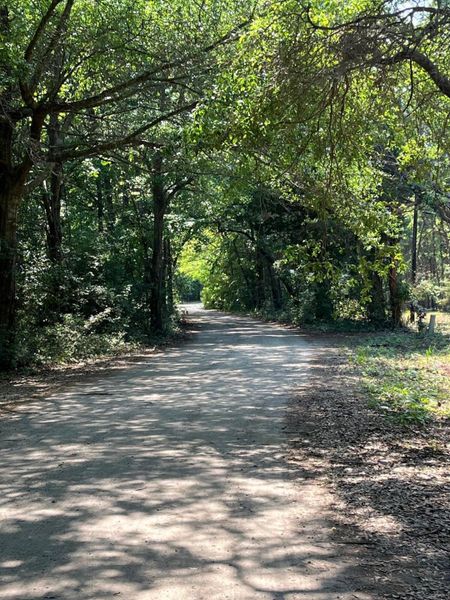 Natural landscape and outdoor views near  in Charleston (Image 49).