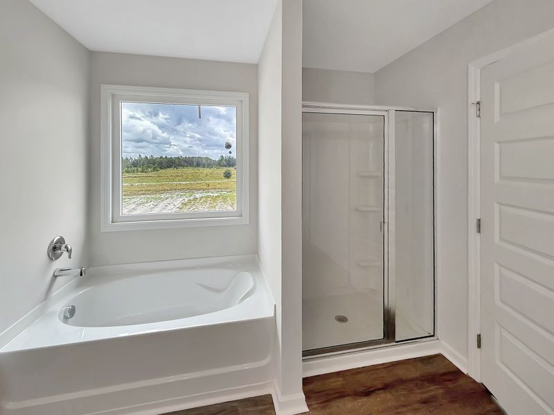 Furnished interior view inside a new home in Tibet Road at Sassafras, Allenhurst (Image 11).