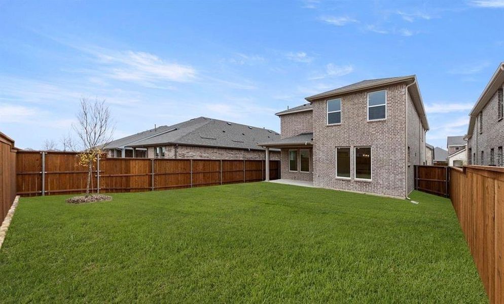 Rear Exterior Design