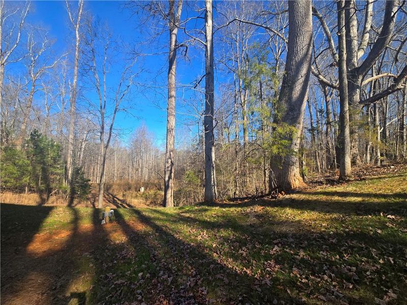Natural landscape and outdoor views near  in Gainesville (Image 38).