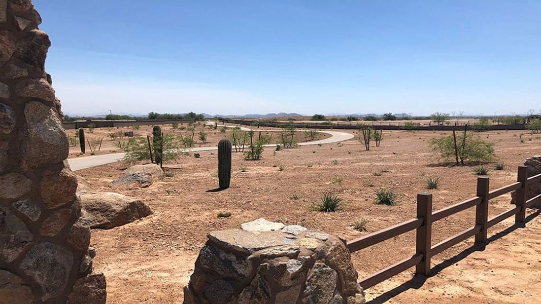 Natural landscape and outdoor views near Rancho Mercado in Surprise (Image 38).