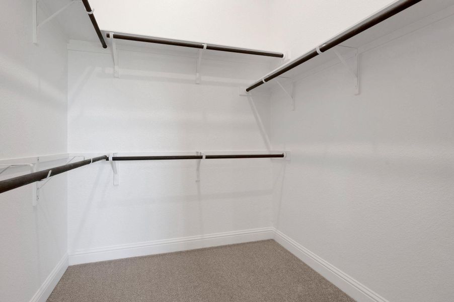 Walk in closet featuring carpet flooring Walk in closet featuring carpet flooring