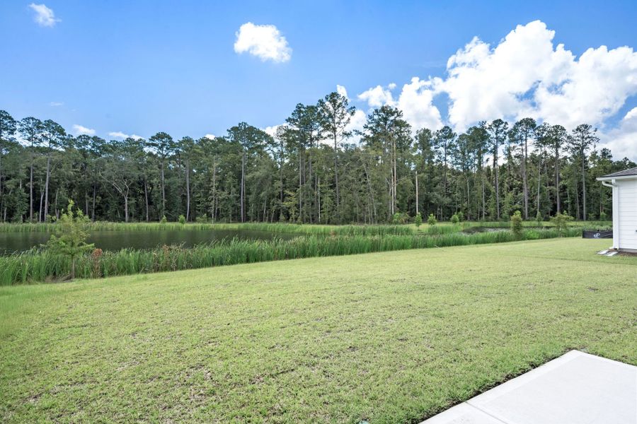 Natural landscape and outdoor views near Waterways in Richmond Hill (Image 56).