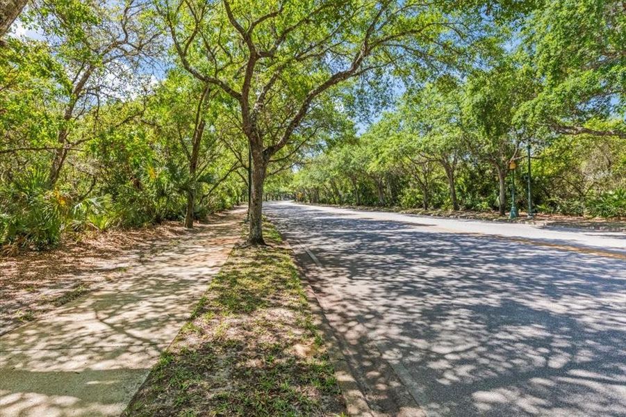 Natural landscape and outdoor views near Windchase at Halifax Plantation in Ormond Beach (Image 60). Natural landscape and outdoor views near Windchase at Halifax Plantation in Ormond Beach (Image 60).