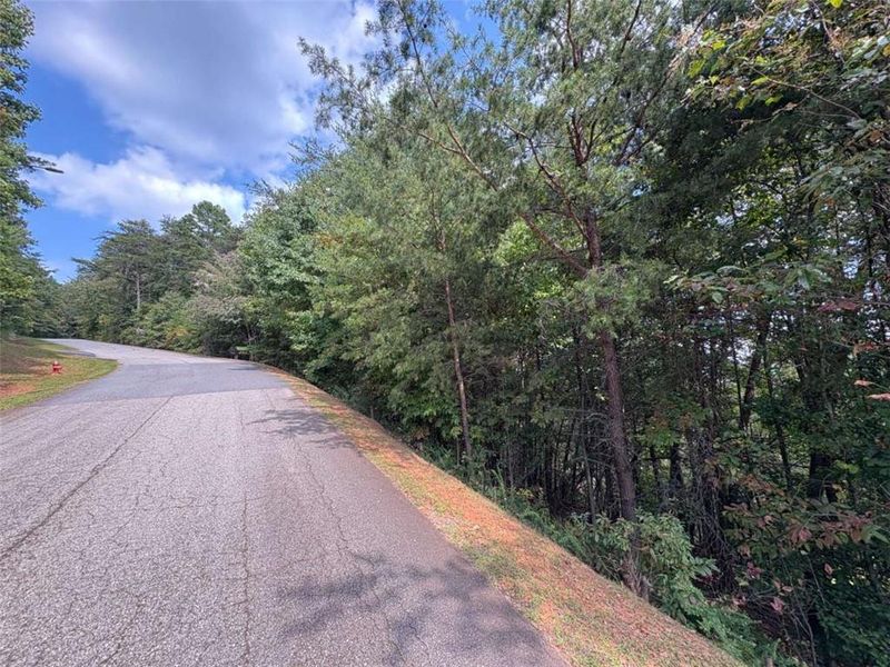 Natural landscape and outdoor views near  in Dahlonega (Image 11).