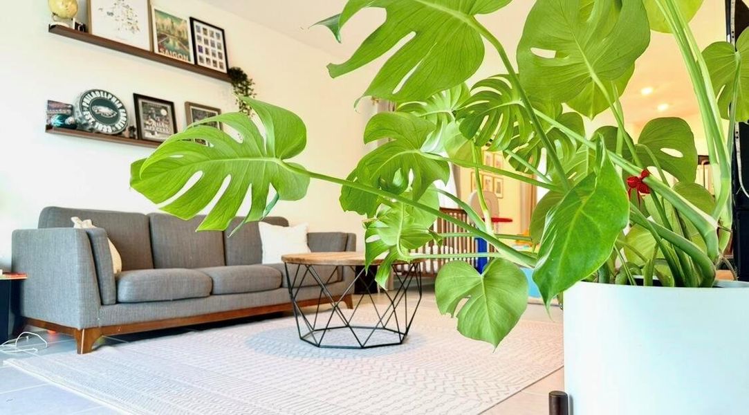 Image 18 of a home in .