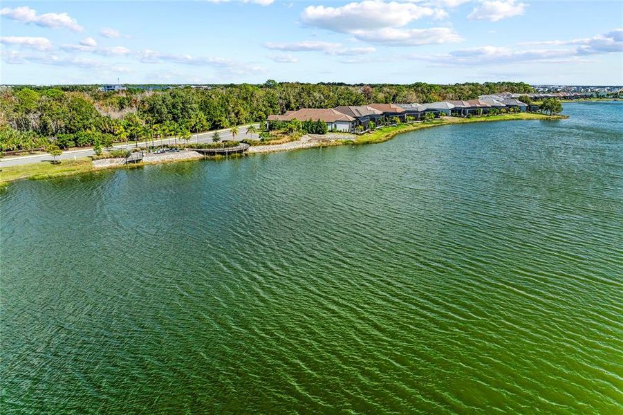 Natural landscape and outdoor views near The Alcove at Waterside in Sarasota (Image 63). Natural landscape and outdoor views near The Alcove at Waterside in Sarasota (Image 63).