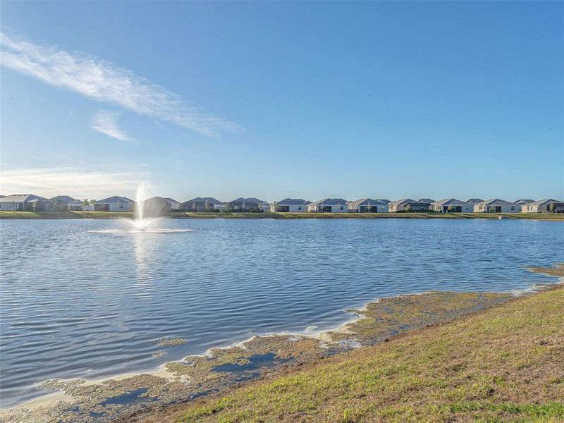 Natural landscape and outdoor views near  in Port Charlotte (Image 21).