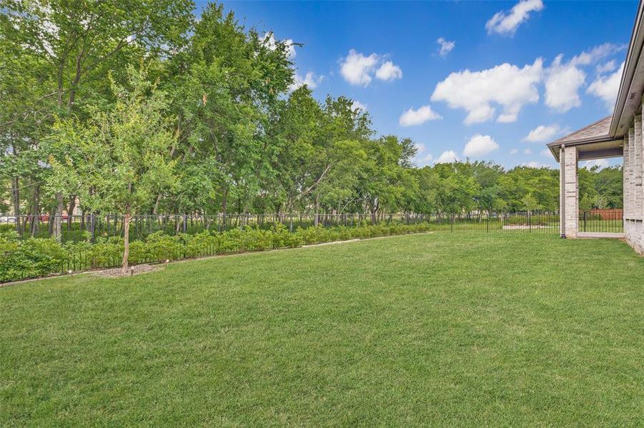 Natural landscape and outdoor views near Mantua Point in Van Alstyne (Image 37).