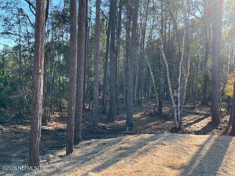 Natural landscape and outdoor views near  in Hilliard (Image 26).