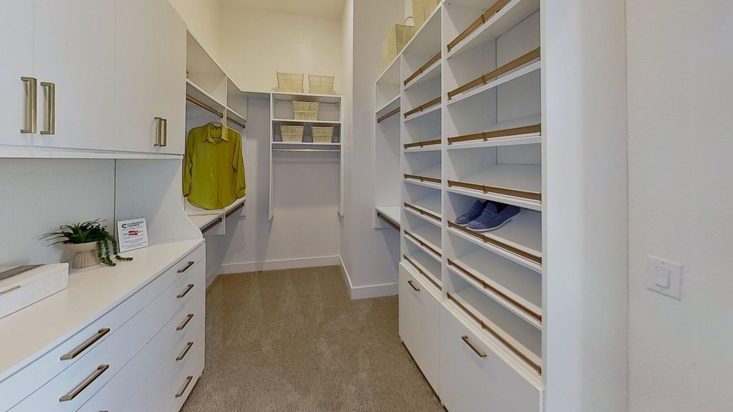 Walk in closet with light colored carpet