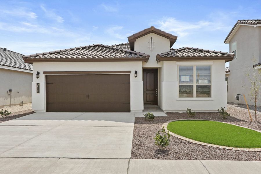 Prickly Pear - Spanish Prickly Pear - Spanish