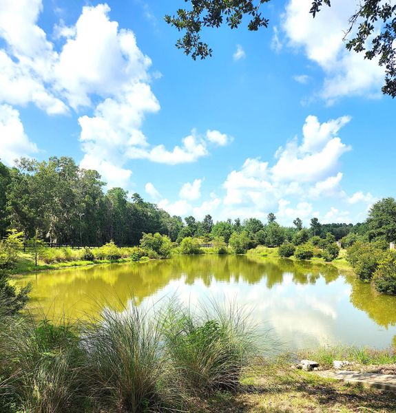 Image 47 of a home in Rivers Reach.