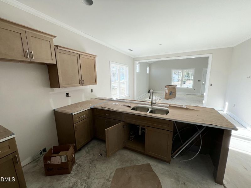 IMG_7104 2 IMG_7104 2