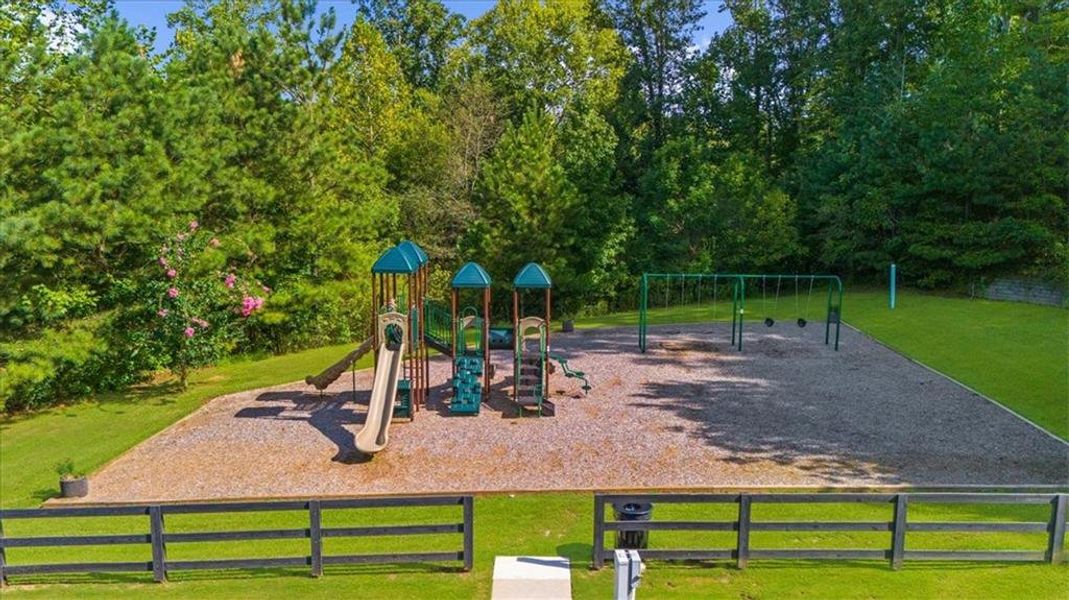 Community amenities in River Rock, Ball Ground (Image 30).