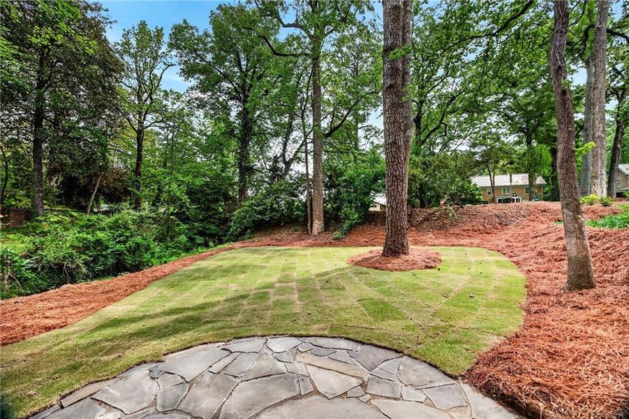 Natural landscape and outdoor views near  in Atlanta (Image 53).