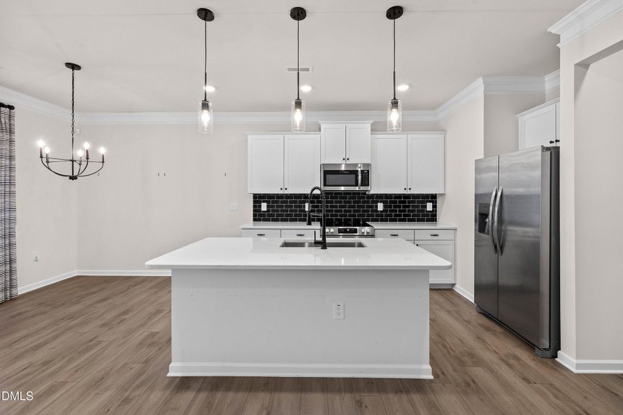 24-23 Knoll_7066 24-23 Knoll_7066