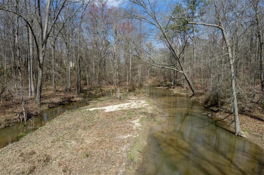 Natural landscape and outdoor views near  in Covington (Image 50).