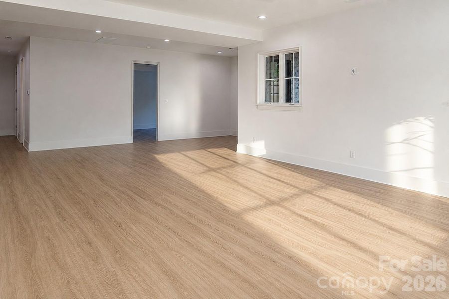 downstairs flex space