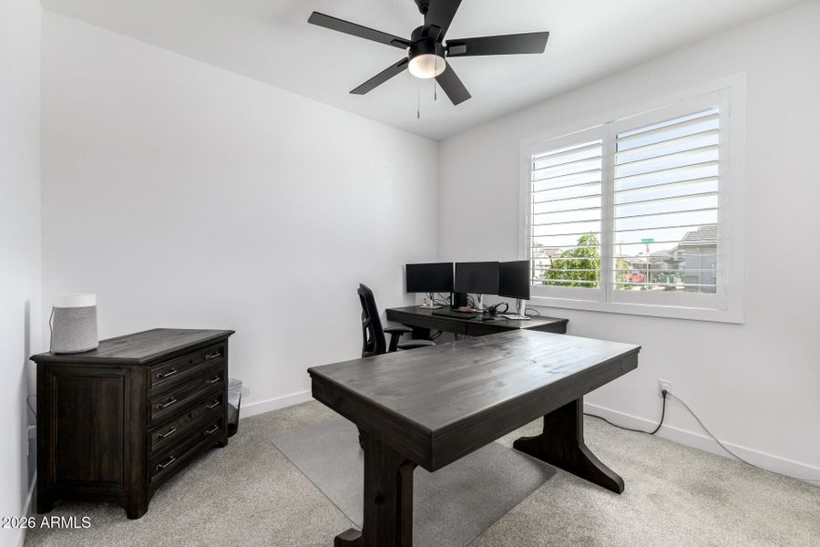 30 - Wildmare 30 - Wildmare