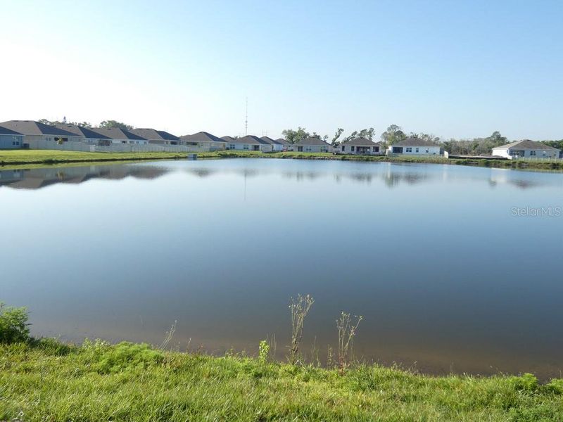 Natural landscape and outdoor views near Brookside in Ruskin (Image 46).