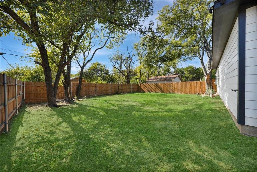 View of fenced backyard