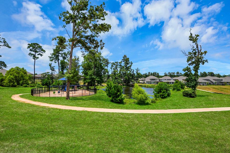 Natural landscape and outdoor views near Montgomery Oaks - Premier in Conroe (Image 23). Natural landscape and outdoor views near Montgomery Oaks - Premier in Conroe (Image 23).