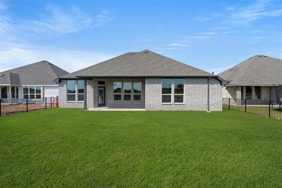 369 Paddle Boat- Back-2