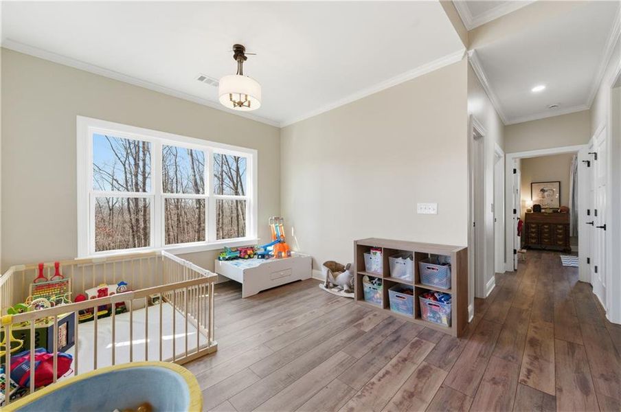 Furnished interior view inside a new home in , Ball Ground (Image 16). Furnished interior view inside a new home in , Ball Ground (Image 16).