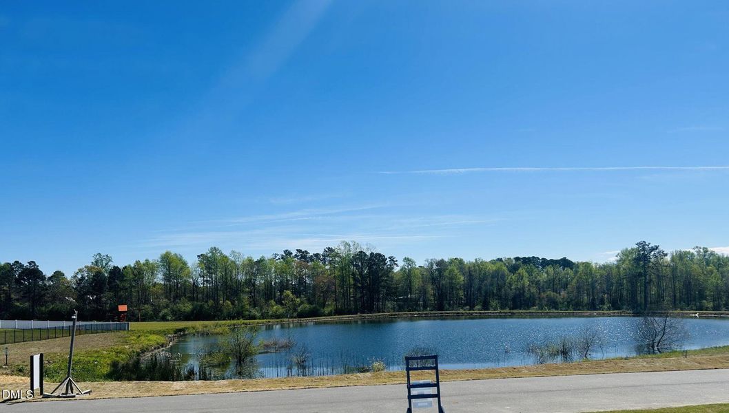 RVF community Pond