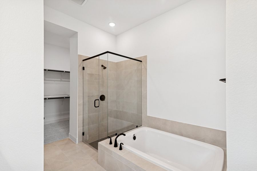 Owner's Bath