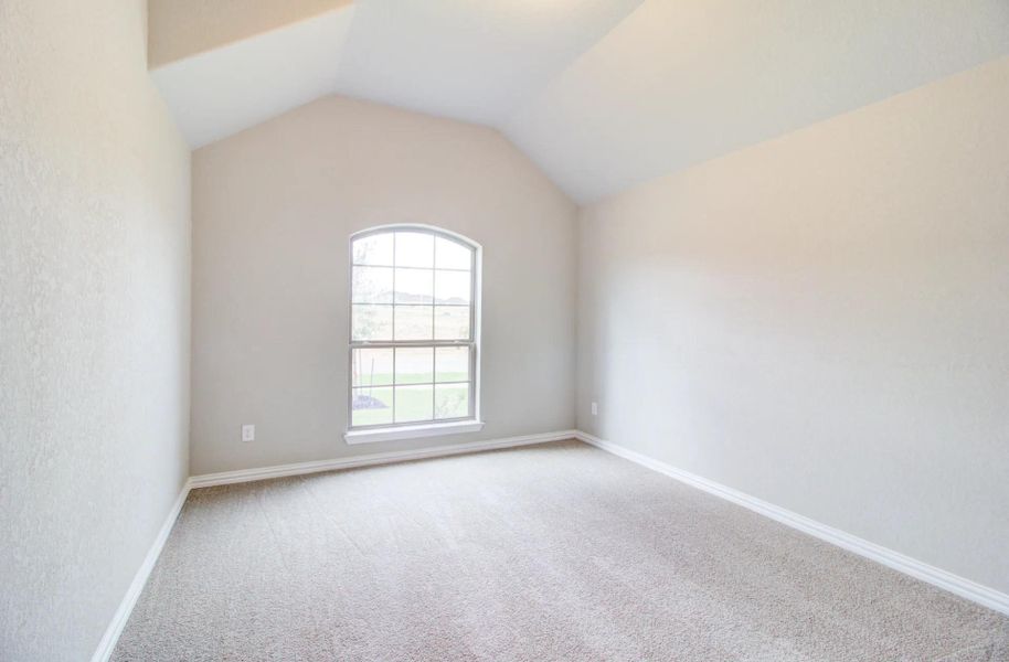 Carpeted empty room with vaulted ceiling and baseboards Carpeted empty room with vaulted ceiling and baseboards