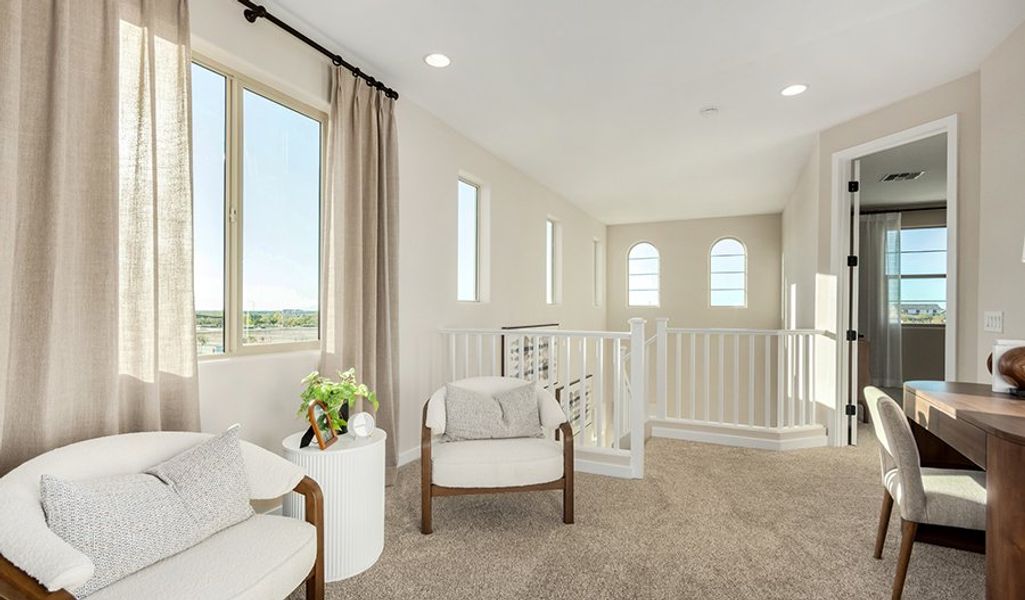 Navy-PB24-FusionBlossom Loft Navy-PB24-FusionBlossom Loft