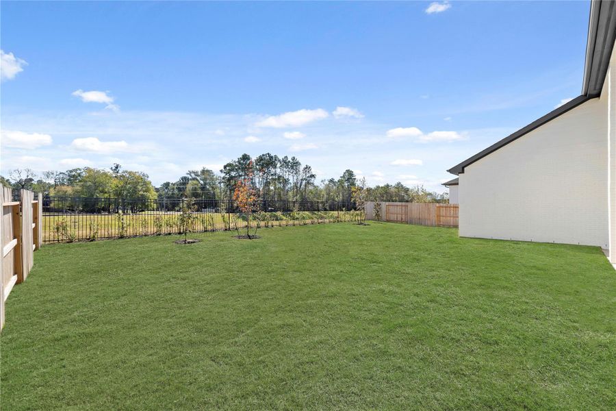 *Grass has been digitally enhanced. *Grass has been digitally enhanced.