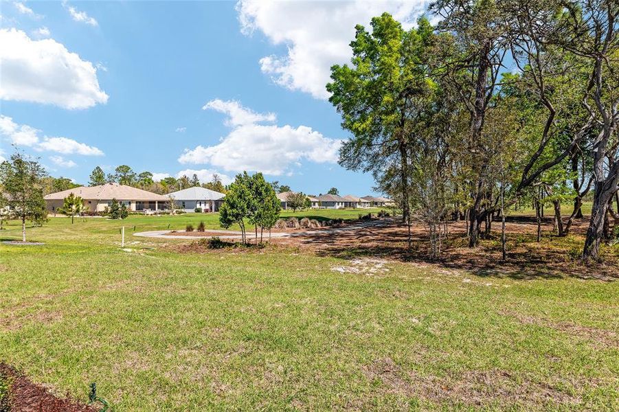 Natural landscape and outdoor views near  in Ocala (Image 64).