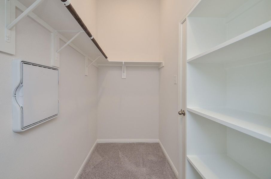 Notice this expansive walk-in closet with built-in shelving! Notice this expansive walk-in closet with built-in shelving!