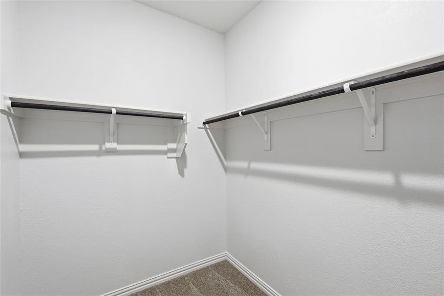 Spacious closet with dark carpet