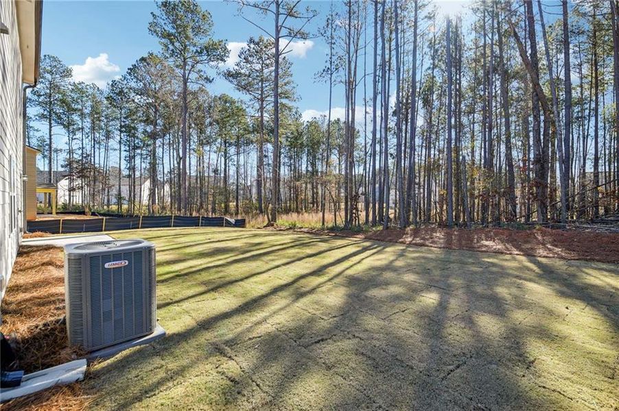 Exterior details and patio area of a home in The Pointe at Heron Bay, Locust Grove (Image 23).