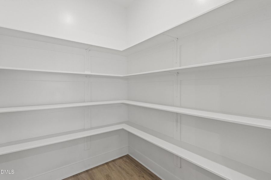 Pantry - Shelving - DSC04770