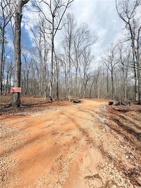 Site preparation for new homesites in , Covington (Image 24).