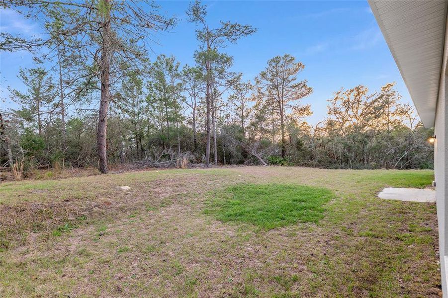 Exterior details and patio area of a home in , Citrus Springs (Image 23).