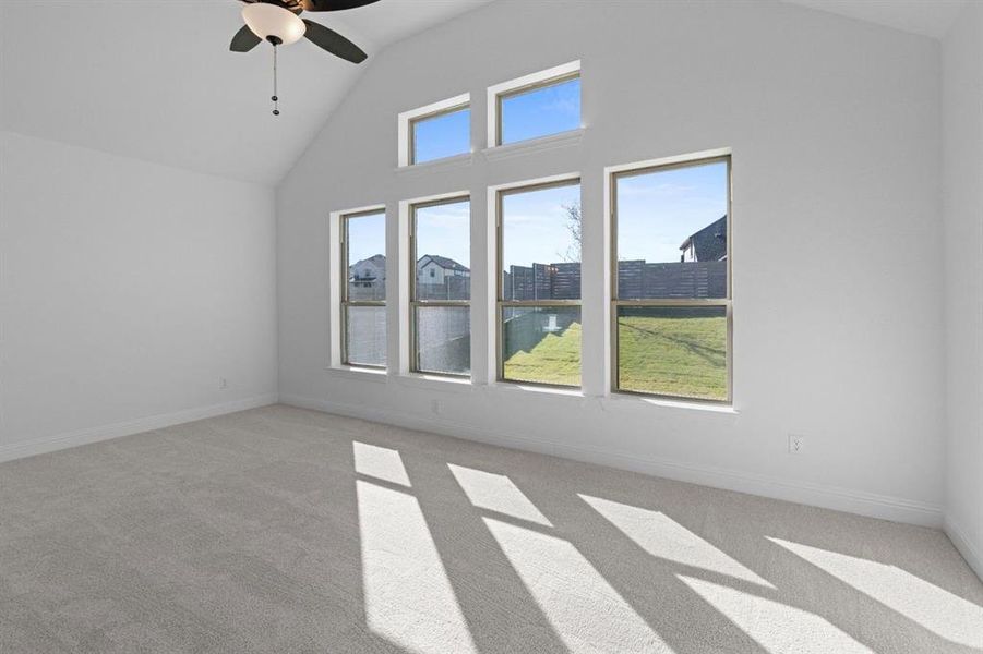 DAL_Painted Tree_Easton_3925 Menard Street (22) DAL_Painted Tree_Easton_3925 Menard Street (22)